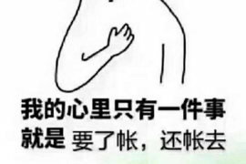 鹿邑要债公司